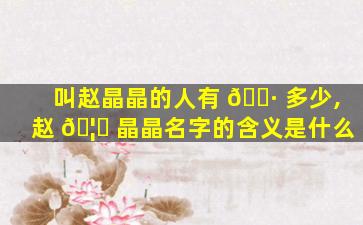 叫赵晶晶的人有 🌷 多少,赵 🦄 晶晶名字的含义是什么